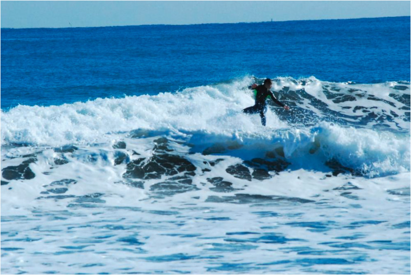 趣味・マイブーム・家族について